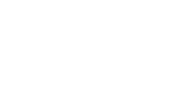 Bel logotip CJVT